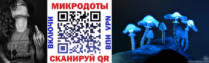 Галлюциногенные грибы Psilocybe  Черноголовка 